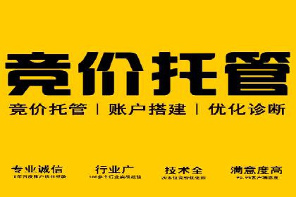 百度推广精准定位，案例深度解析